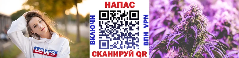 Бошки марихуана SATIVA & INDICA  купить наркоту  Чистополь 
